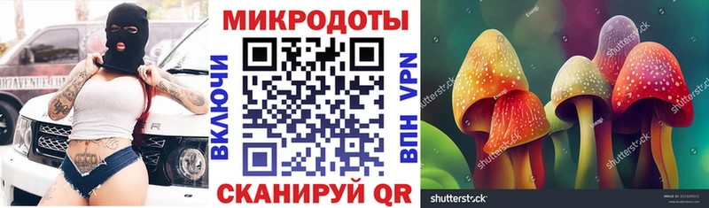 Псилоцибиновые грибы Psilocybe KRAKEN маркетплейс Белогорск