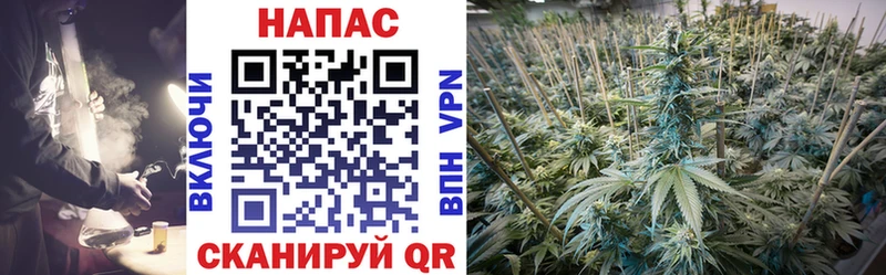 Бошки Шишки THC 21% Белогорск